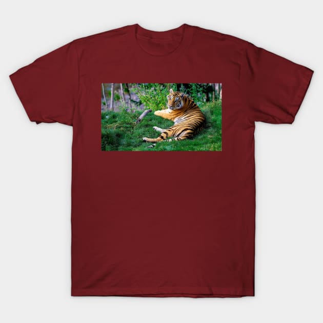 Wild life design T-Shirt by GenesisClothing